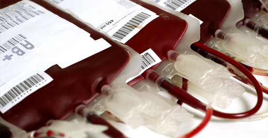 transfusion blood stem cells