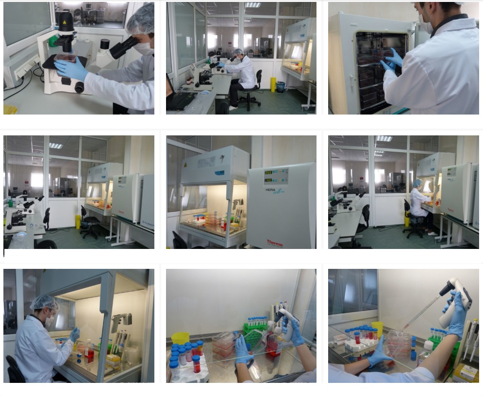 clínica de células madre ucrania